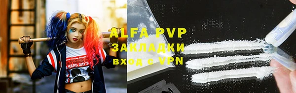 сатива Алзамай