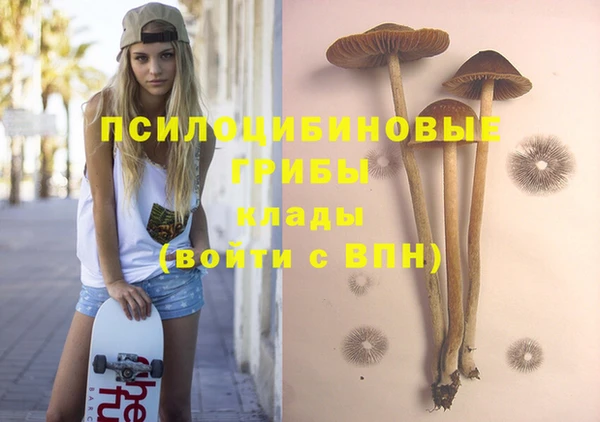 таблы Алексин