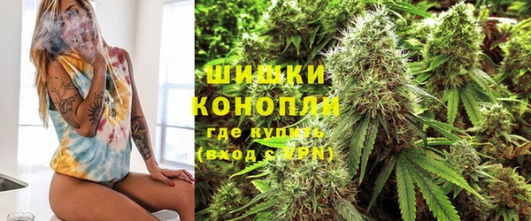 сатива Алзамай
