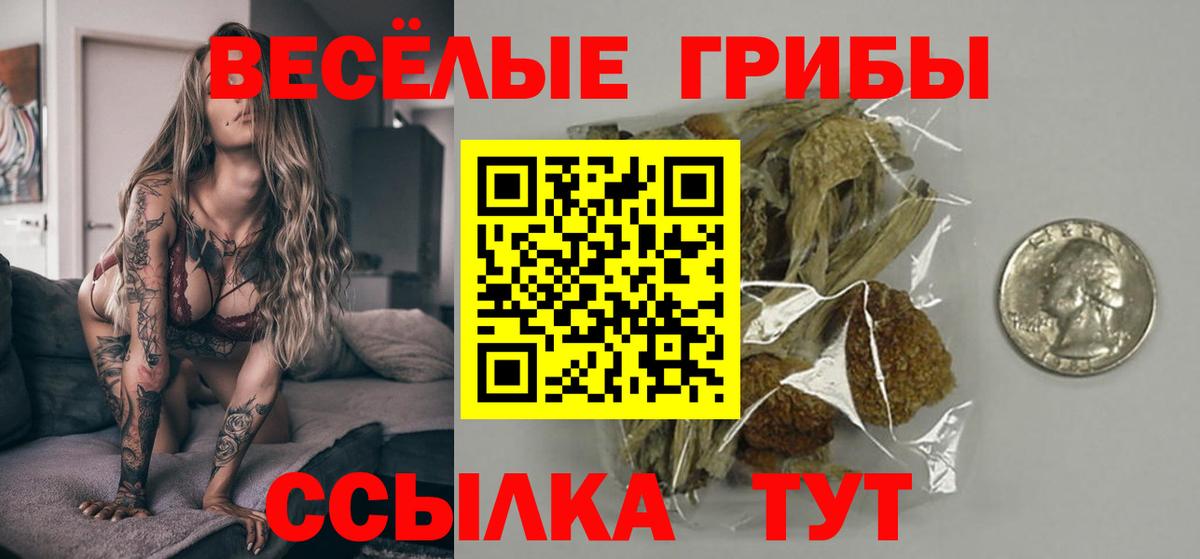 Псилоцибиновые грибы мицелий Миасс