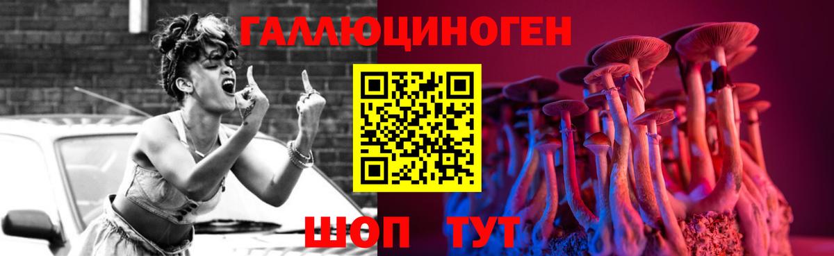 Миасс  Псилоцибиновые грибы Psilocybe  Вход с VPN  Псилоцибиновые грибы Cubensis 
